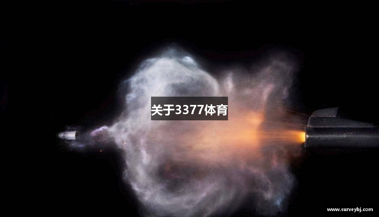 关于3377体育